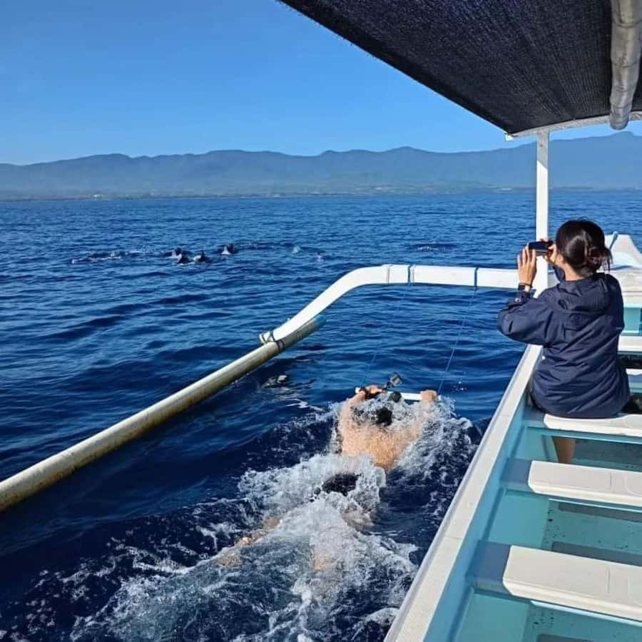 North Bali : Sunrise Dolphin Trip at Lovina Beach - Adding Snorkeling and Blue Coral