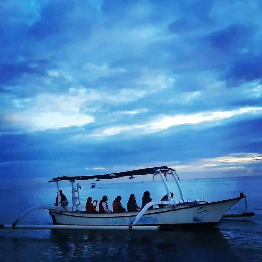 North Bali : Sunrise Dolphin Trip at Lovina Beach - Watching Dolphins at Lovina Around Sunrise