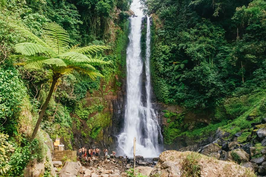 North Bali: Sunrise Tour with Dolphins, Waterfalls & Temples - Watching sunrise and searching for dolphins