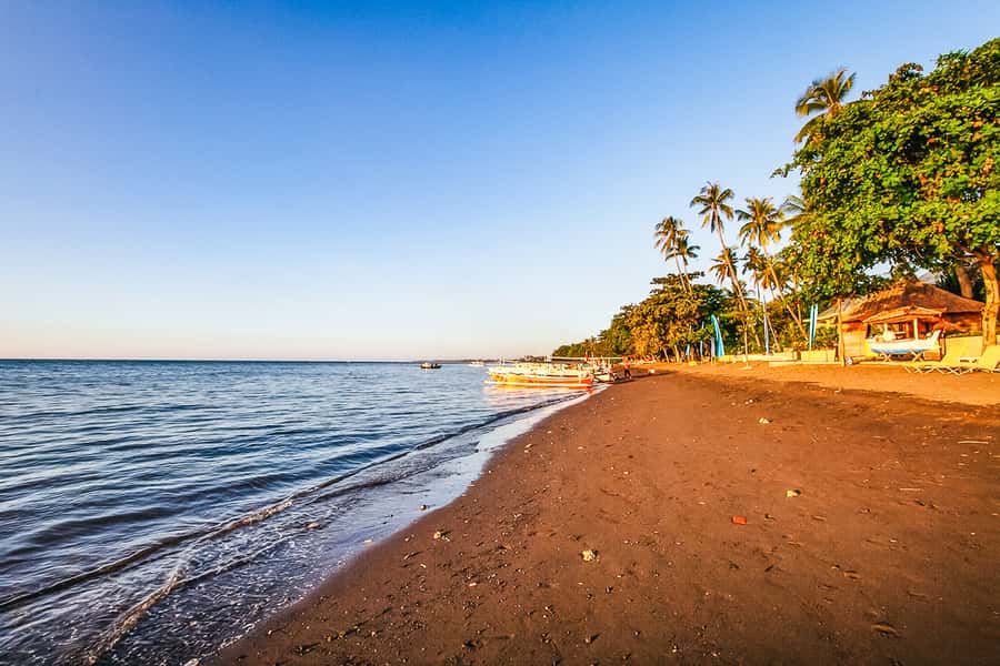 North Bali: Sunrise Tour with Dolphins, Waterfalls & Temples - Gitgit Waterfall and the jungle walk