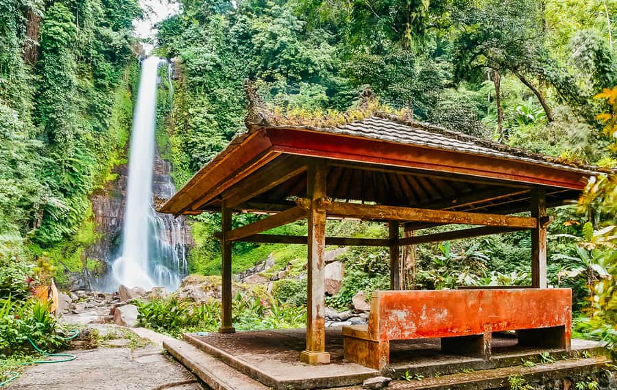 North Bali: Sunrise Tour with Dolphins, Waterfalls & Temples - What the guides add to the day