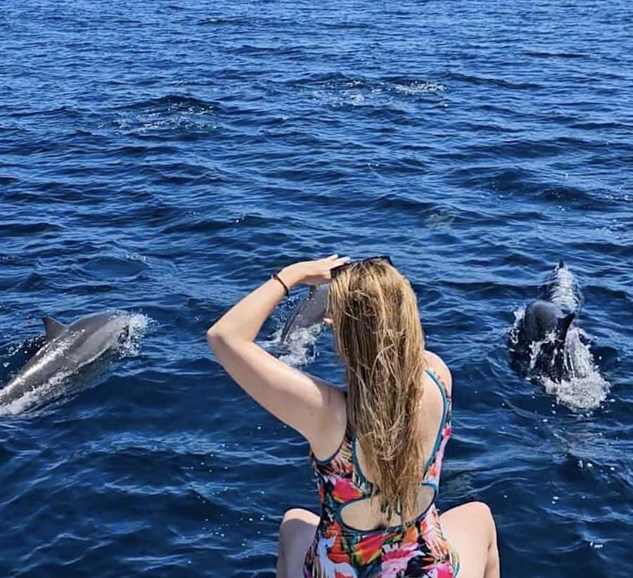 North Bali: Sunrise Tour with Dolphins, Waterfalls & Temples - Leaving before dawn for Lovina Beach
