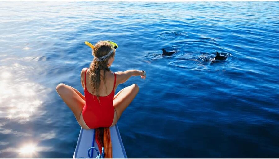 North Coast Dolphins Sunrise Adventure Tour - Sunrise on Mallorca’s northern waters