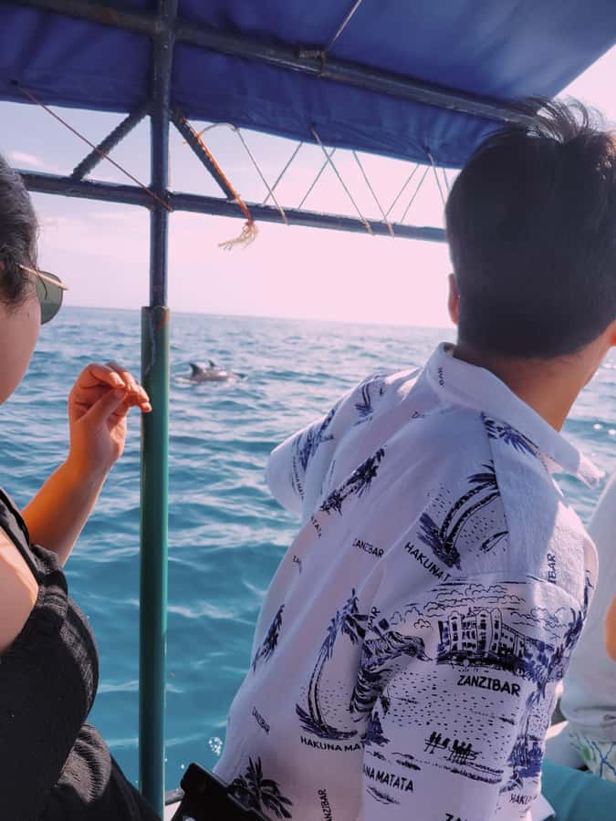 Nungwi: Dolphins,snokerlling &/or sunset cruising tour - The fruit break is better than it sounds
