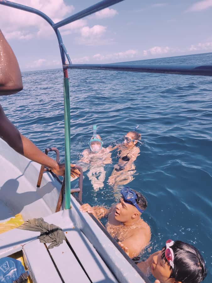 Nungwi: Dolphins,snokerlling &/or sunset cruising tour - Safety, comfort, and what to pack