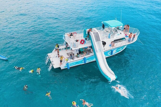 Oahu Dolphin and Snorkel Tour with Waikiki Pickup & Lunch - Quick take: what matters most