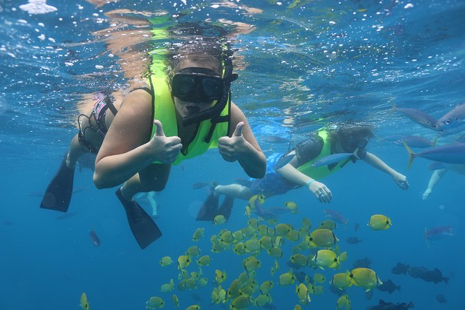 Oahu Dolphin and Snorkel Tour with Waikiki Pickup & Lunch - Watching spinner dolphins from the boat