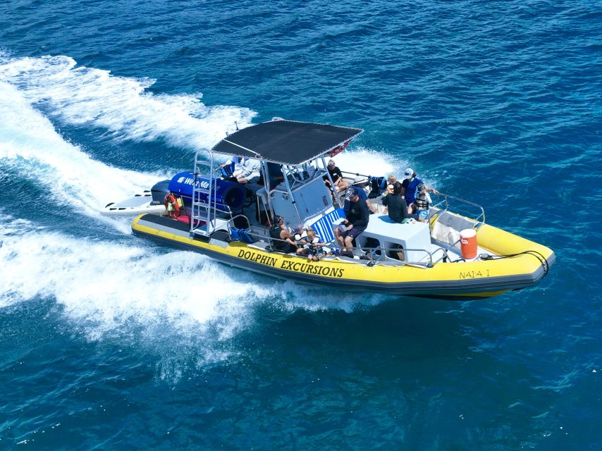 Oahu: Dolphin Swim and Turtle Snorkel Excursion in Waianae - What the wildlife rules mean in practice