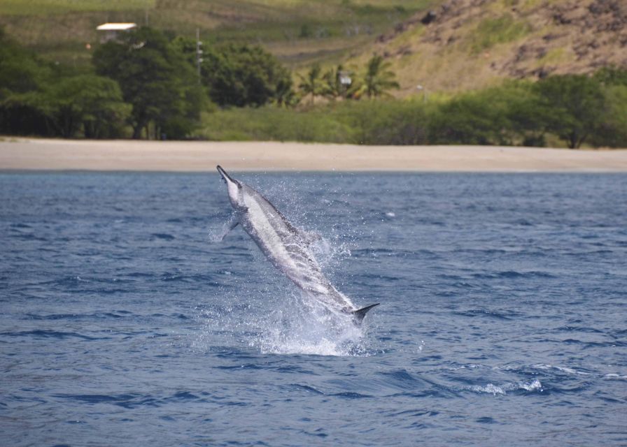 Oahu: Dolphin Swim and Turtle Snorkel Excursion in Waianae - A 32-foot boat with room to watch the water
