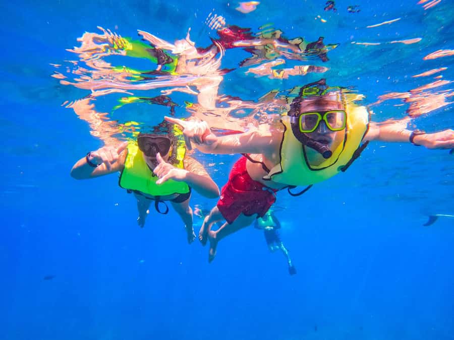 Oahu: Dolphin Watching & Turtle Snorkeling with Waterslide - FAQ