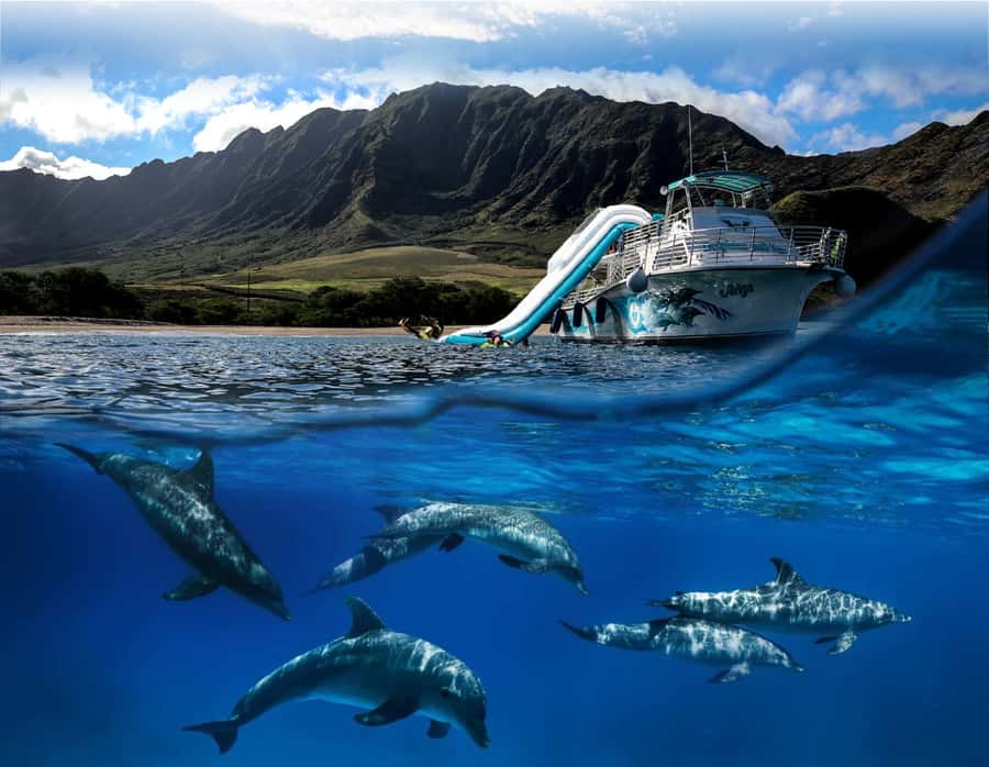 Oahu: Dolphin Watching & Turtle Snorkeling with Waterslide - Setting out from Waianae Harbor