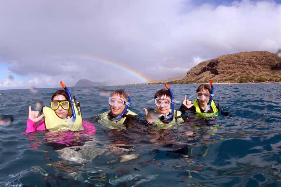 Oahu: Snorkeling & Dolphin Watch Cruise w/ Luau Style Buffet - Key points to know before booking