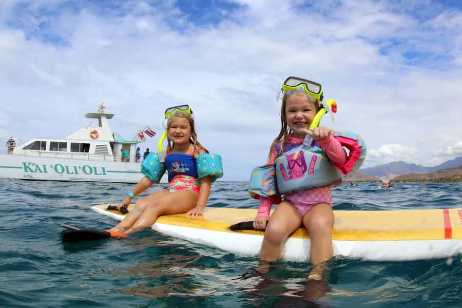 Oahu: Snorkeling & Dolphin Watch Cruise w/ Luau Style Buffet - Who should book this cruise?