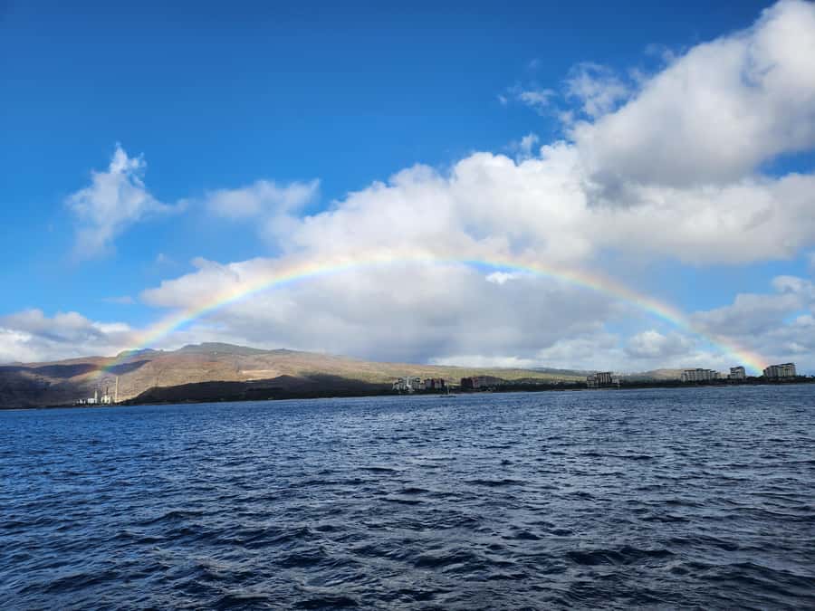 Oahu: Snorkeling & Dolphin Watch Cruise w/ Luau Style Buffet - Snorkeling in clear Hawaiian water