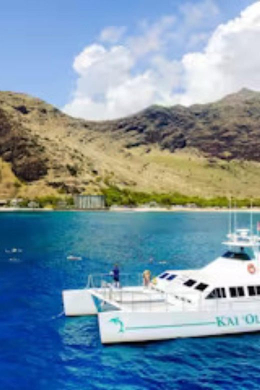 Oahu: Snorkeling & Dolphin Watch Cruise w/ Luau Style Buffet - Choosing between morning, afternoon, and sunset departures