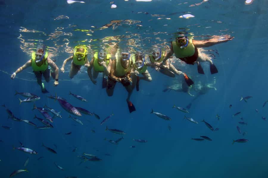 Oahu: Snorkeling & Dolphin Watch Cruise w/ Luau Style Buffet - Is $171 a fair price?