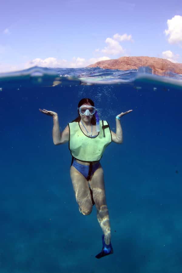 Oahu: Snorkeling & Dolphin Watch Cruise w/ Luau Style Buffet - Dolphins, whales, turtles, and flying fish