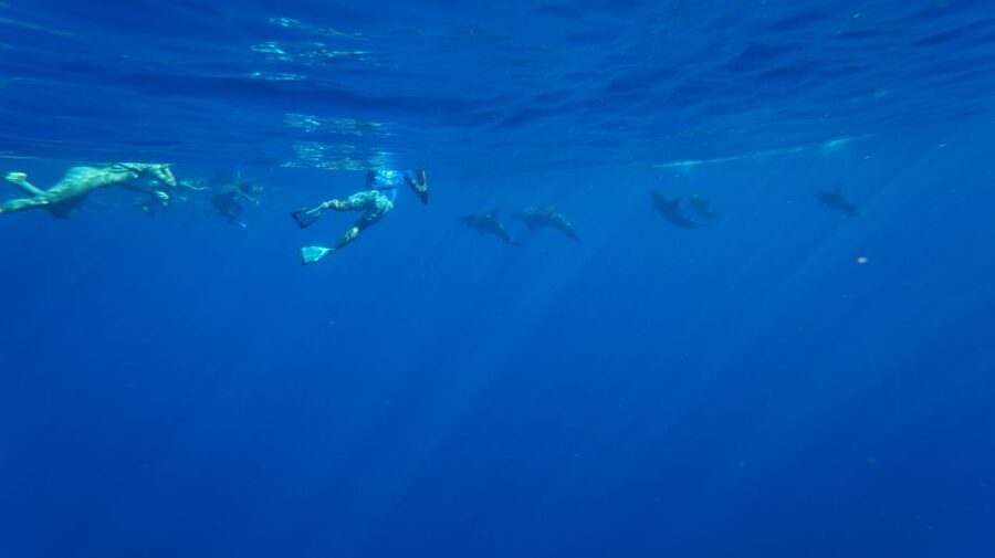 Oahu: Wild Dolphins Swim Turtle Snorkel Tour & Waterslide - Setting out along Oahu’s Waianae Coast