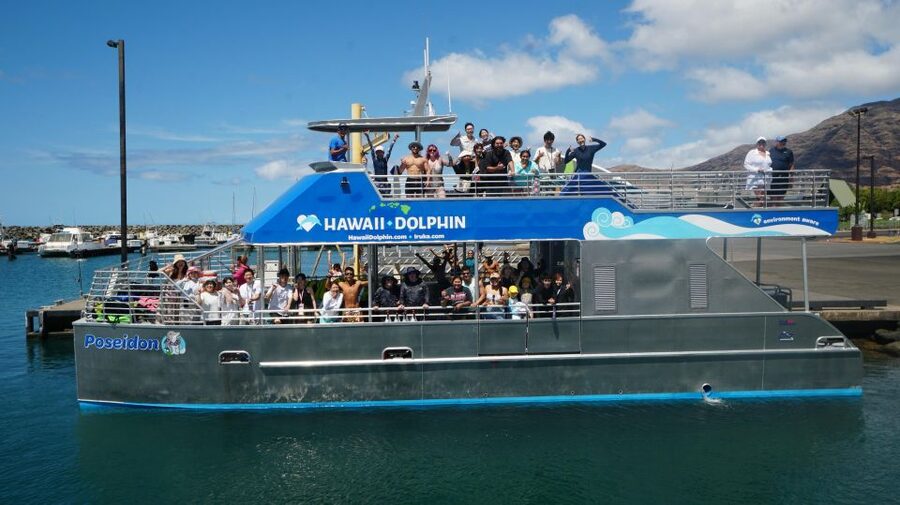Oahu: Wild Dolphins Swim Turtle Snorkel Tour & Waterslide - What the $199 price really includes
