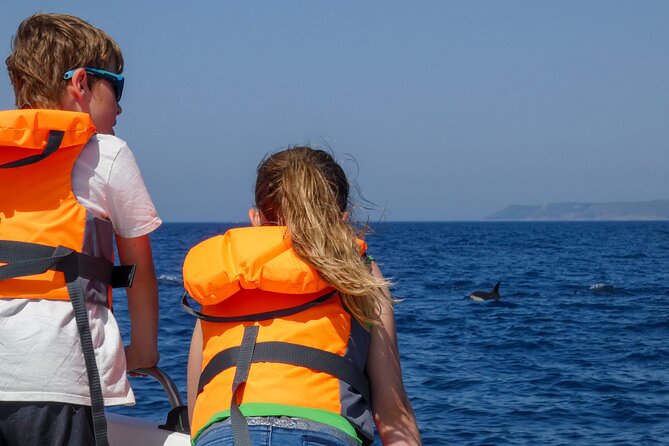 Observation of Dolphins and Whales with Marine Biologist in Arrábida - Bottlenose and common dolphins in the wild