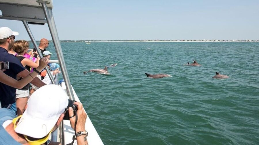 Ocean City, MD: Coastal Speedboat Tour with Dolphin Spotting - The 45-Minute Coastal Route