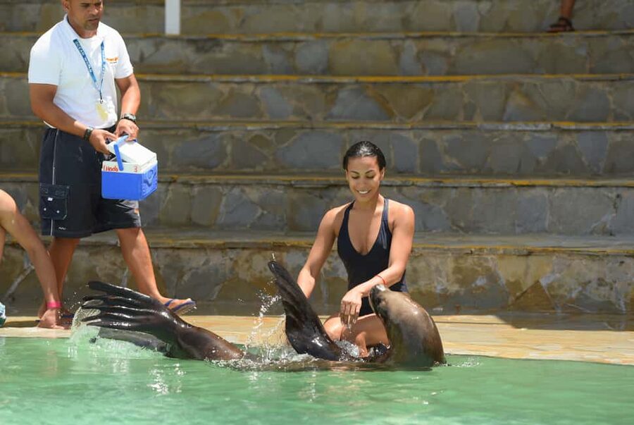 Ocean World Dolphin Swim & Sea Lion Combo from Puerto Plata - Key points to know before booking