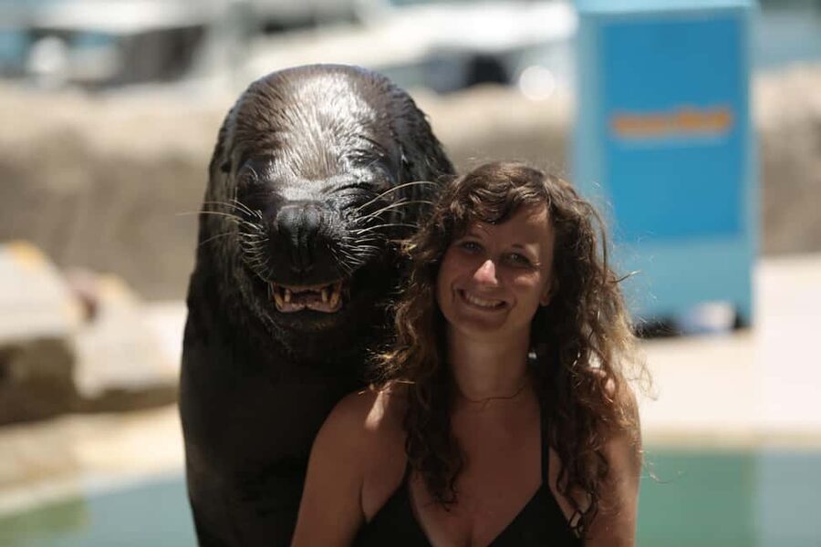 Ocean World Dolphin Swim & Sea Lion Combo from Puerto Plata - A full day at Cofresi Beach
