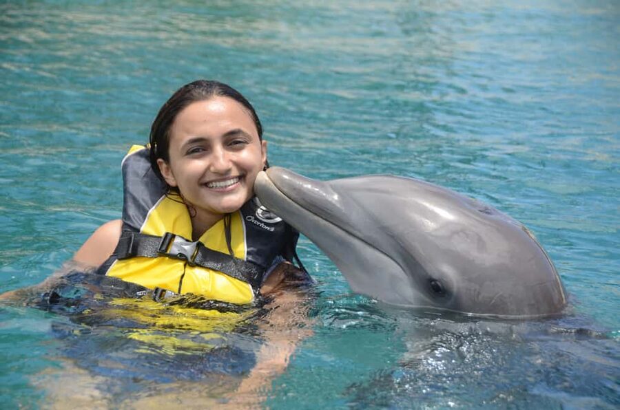 Ocean World Dolphin Swim & Sea Lion Combo from Puerto Plata - Patagonian sea lions bring a different kind of fun