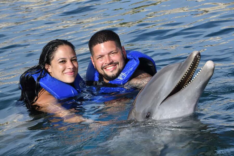Ocean World Dolphin Swim & Sea Lion Combo from Puerto Plata - Meeting the Atlantic bottlenose dolphins