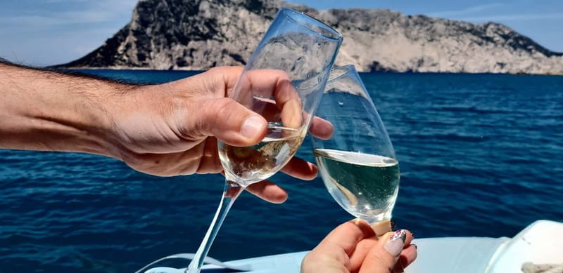 Olbia: Boat tour to watch Dolphins and snorkeling - Capo Figari and the approach to Figarolo