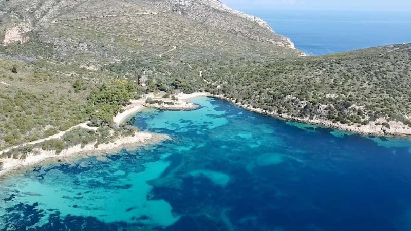 Olbia: Boat tour to watch Dolphins and snorkeling - Timing, comfort, and practical value
