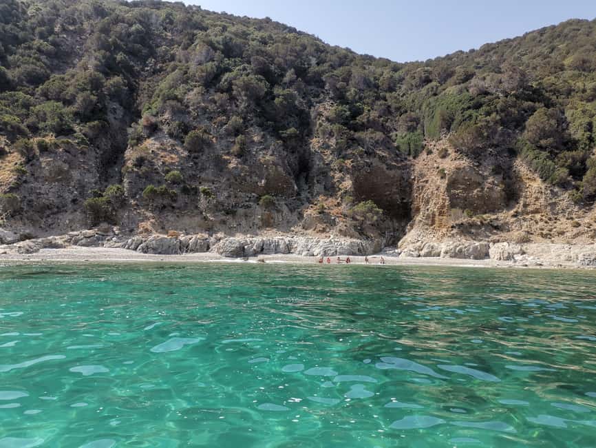 Olbia: Dolphin watching and snorkeling tour on Figarolo Island - Key points before you book
