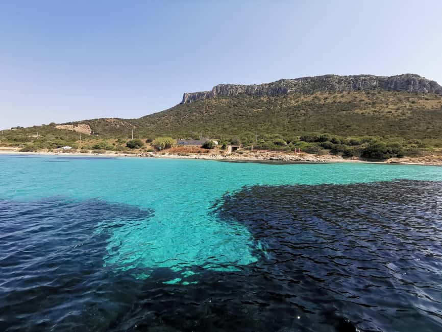 Olbia: Dolphin watching and snorkeling tour on Figarolo Island - Leaving Olbia from Molo Bosazza