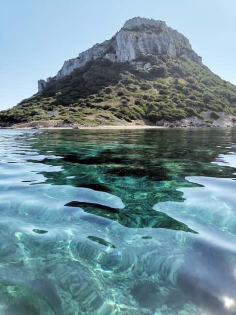 Olbia: Dolphin watching and snorkeling tour on Figarolo Island - Figarolo’s dolphin search