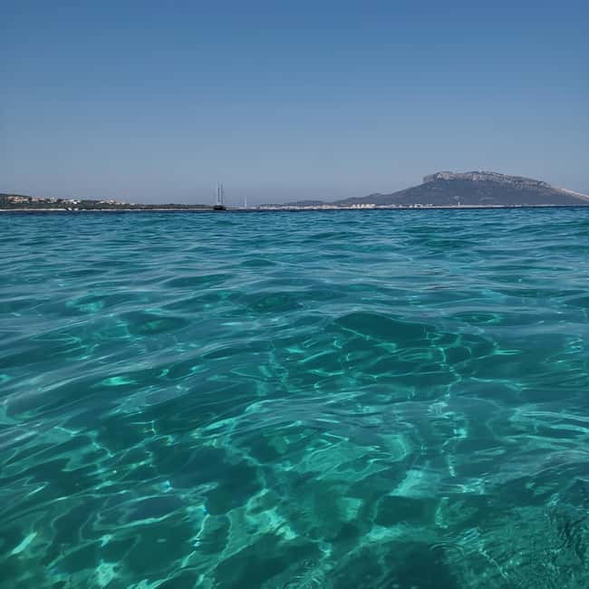 Olbia: Dolphin watching and snorkeling tour on Figarolo Island - Cala Moresca and the second water stop