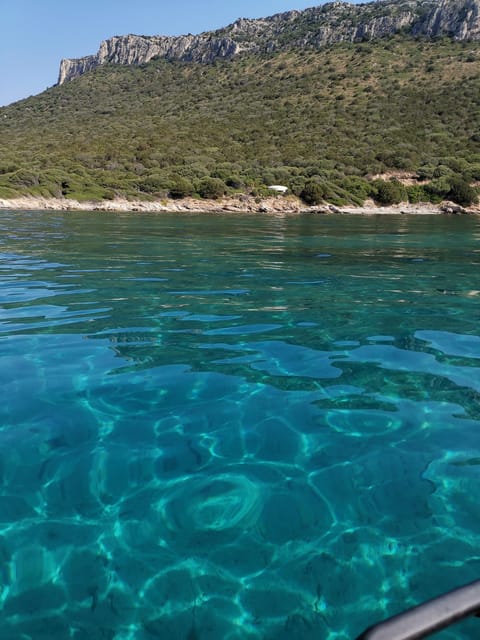 Olbia: Dolphin watching and snorkeling tour on Figarolo Island - Timing, weather, and practical preparation