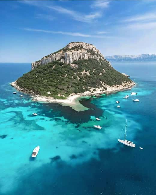 Olbia: Dolphin Watching & Snorkeling Boat Tour near Figarolo - Cala Moresca: swimming, snorkeling, and aperitivo