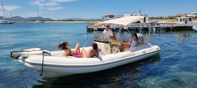 Olbia: Dolphin Watching & Swim with prosecco aperitif - Watching bottlenose dolphins near Figarolo