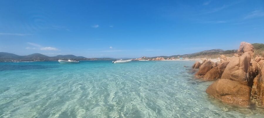 Olbia: Dolphin Watching & Swim with prosecco aperitif - Should you book the Olbia dolphin tour?