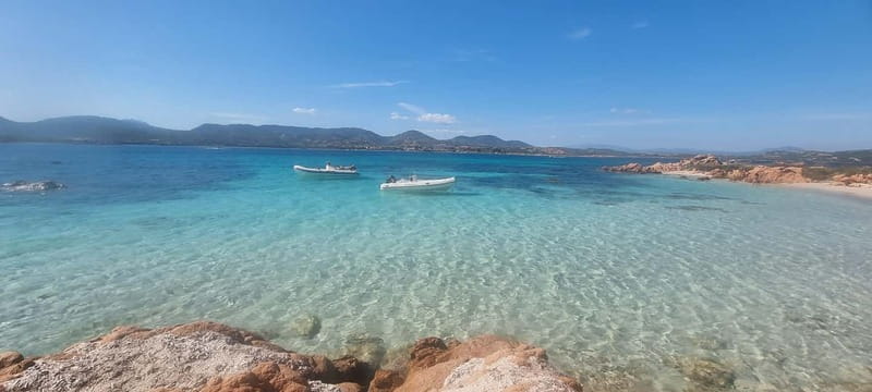 Olbia: Dolphin Watching & Swim with prosecco aperitif - The 30-minute ride toward Figarolo Island