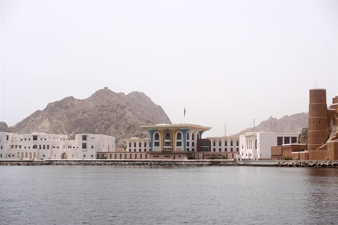 Oman Dolphin Watching Tours - What you may see in Muscat’s waters