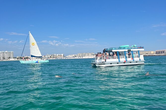 One Hour Harbor Shared Tour with Dolphin Watching - Who will get the most from this outing