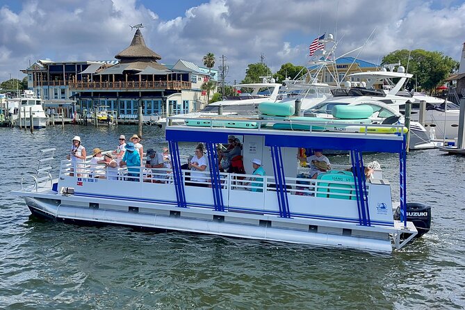 One Hour Harbor Shared Tour with Dolphin Watching - Booking timing and cancellation rules
