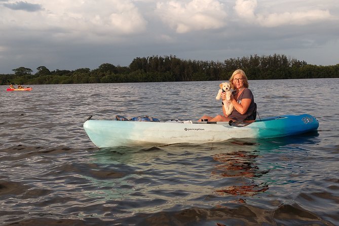 One Single Kayak Rental for 2 hours with Manatee & Dolphin sightings! - Key points at a glance