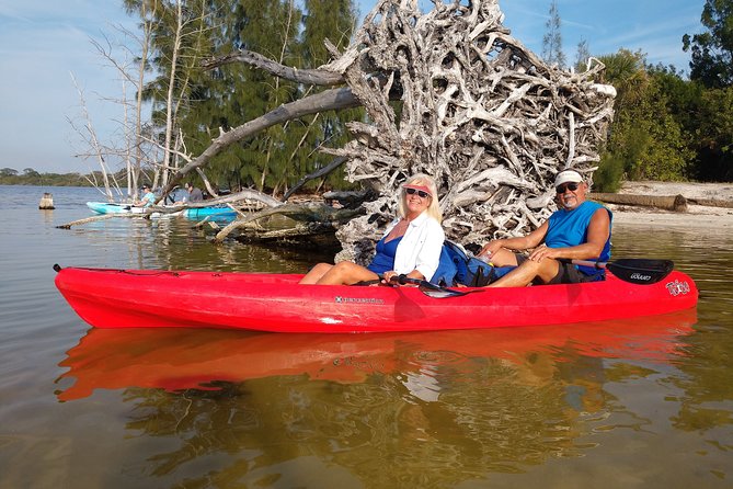 One Single Kayak Rental for 2 hours with Manatee & Dolphin sightings! - The small-group limit changes the feel
