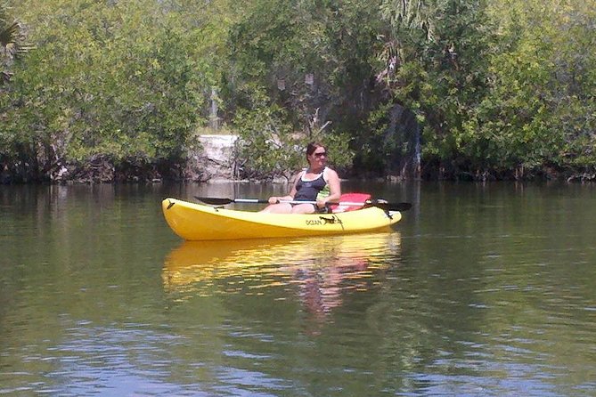 One Single Kayak Rental for 2 hours with Manatee & Dolphin sightings! - Kayaks, paddles, and life jackets are included