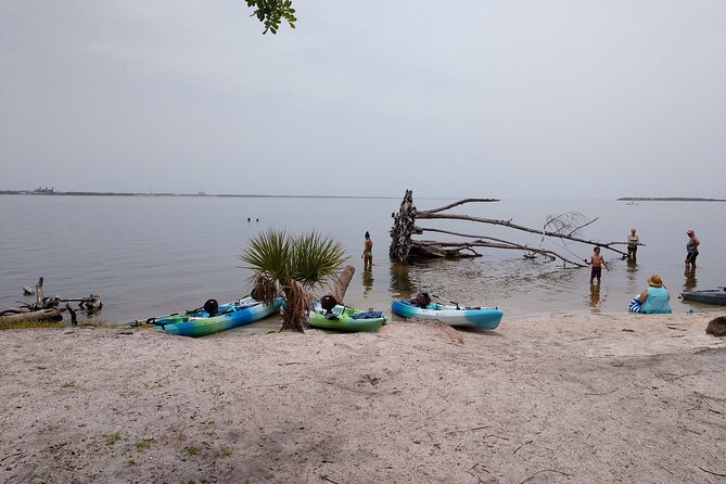 One Tandem Kayak Rental for 2 hours with Manatee & Dolphin sightings! - Why the Self-Guided Format Matters