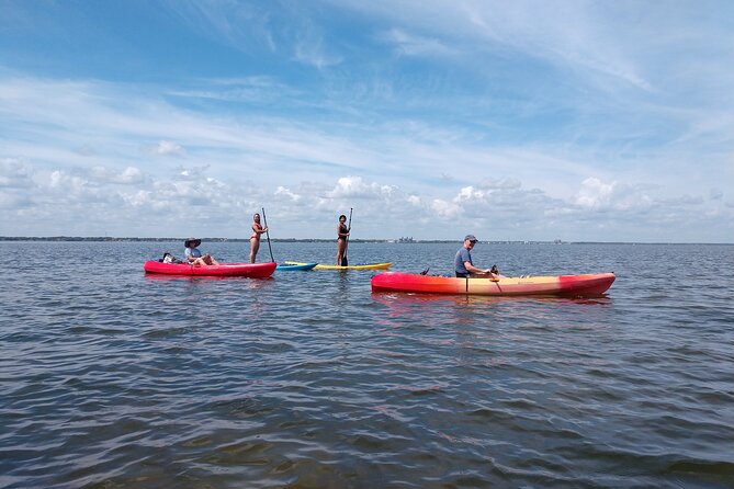 One Tandem Kayak Rental for 2 hours with Manatee & Dolphin sightings! - Who Will Enjoy This Kayak Rental Most?