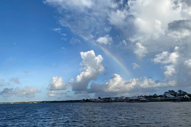 Orange Beach Dolphin Eco Boat Tour - Birds, alligators, and the wider ecosystem