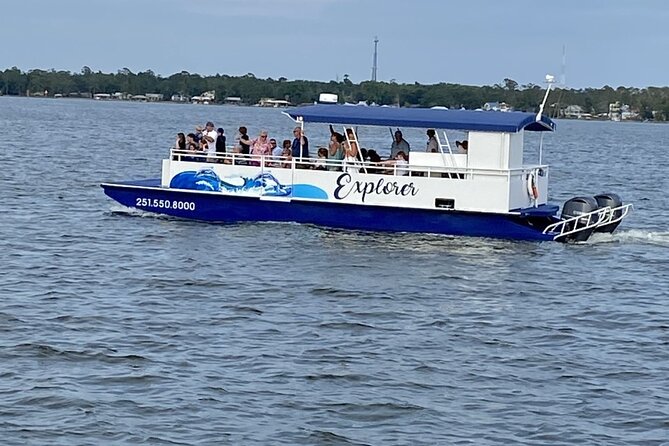Orange Beach Dolphin Eco Boat Tour - How the $25 price measures up